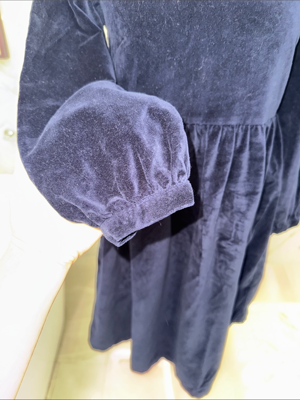 Anthropologie Meadows Pasque Velvet Midi Dress Embroidered Peter Pan Collar - Picture 6 of 14